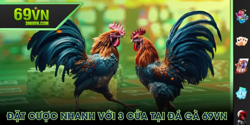 Đặt cược nhanh với 3 cửa tại Đá Gà 69VN